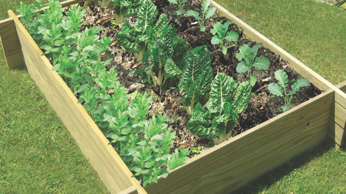 Irrigating your kitset garden bed Get Growing