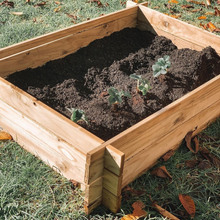 Load image into Gallery viewer, Kitset Vege Gardens - Treated Dressed & Notched together