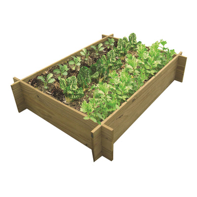 Kitset vegetable Garden