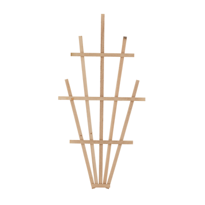 Fan Trellis