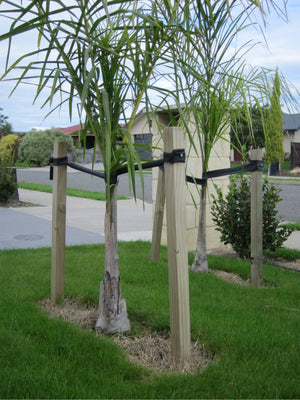 42x42mm Tree Stakes Untreated - 10 Pack