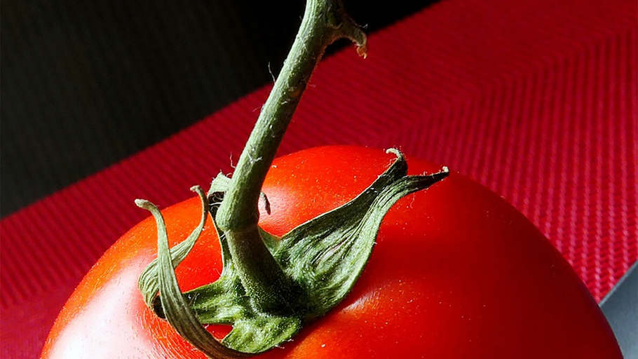 How to grow the perfect tomato