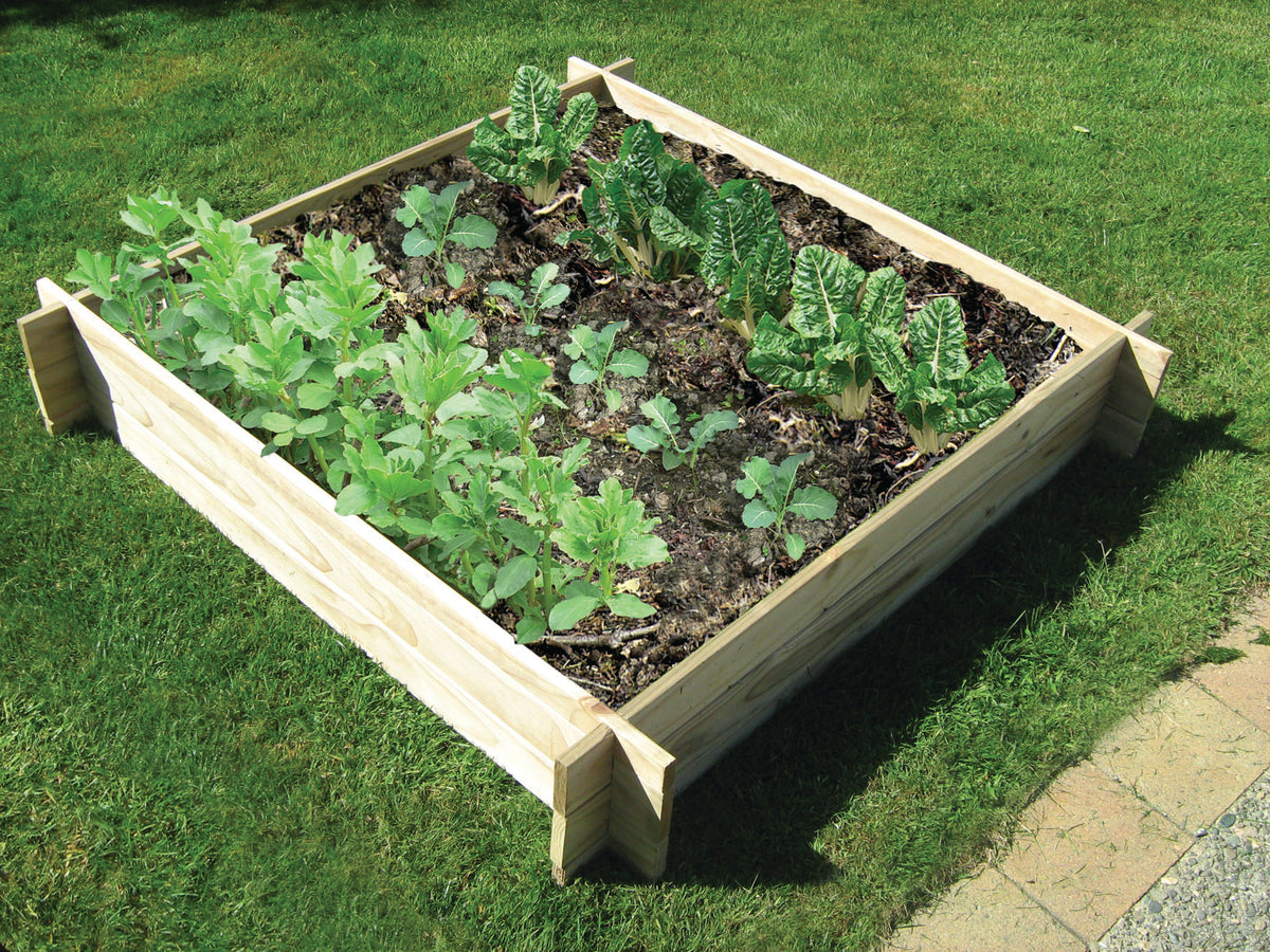 Kitset Vege Gardens Get Growing